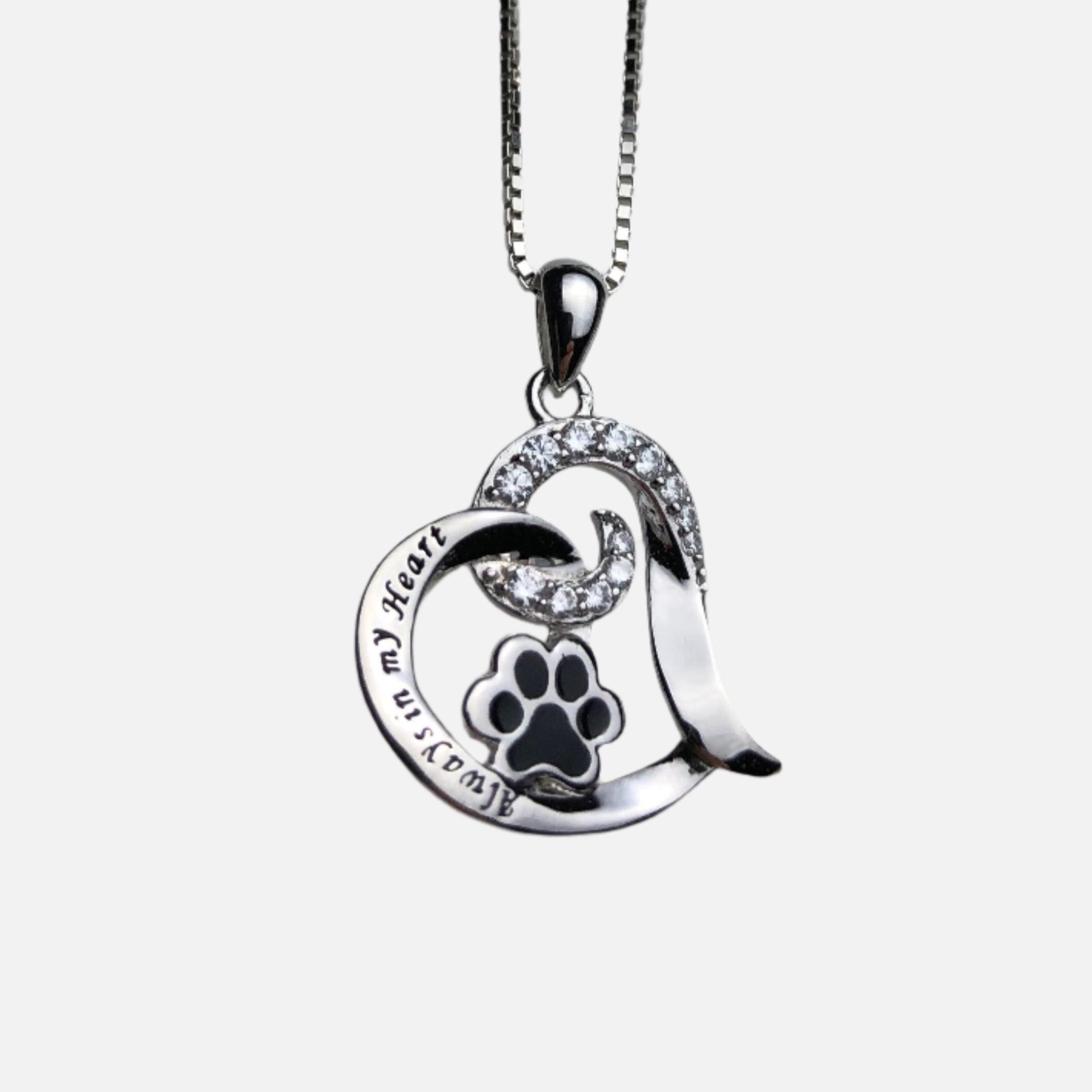 Elegante collana commemorativa per cani – Acciaio inossidabile